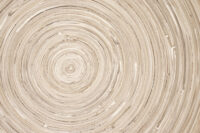 wood ring background