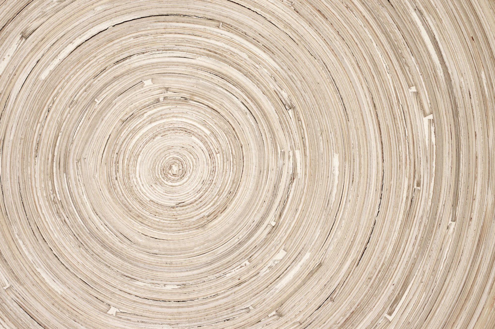 wood ring background